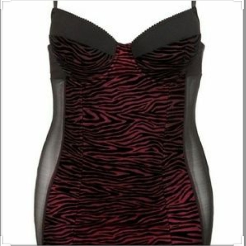 Plus Size Zebra Print Lingerie
